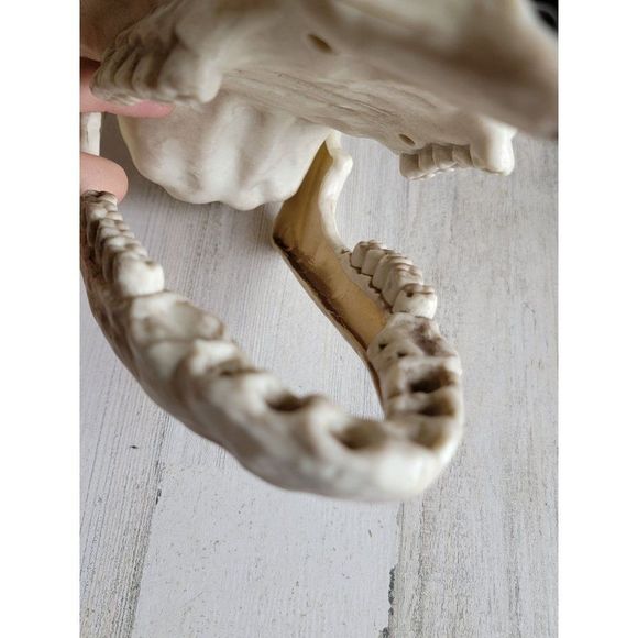 Crazy bonez unicorn head skeleton scary Halloween prop decor - Picture 12 of 13